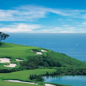 Meet your Posher, Beauty